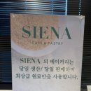 시에나 카페앤페스츄리