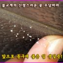 동구청 본관 이미지