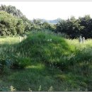 이여발묘 이미지