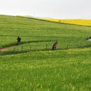 중식농장 이미지