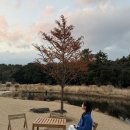서귀포카페 추천 | 제주 카페 담소요
