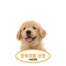 고인걸애견미용전문샵 | 평창동 애견미용학원 대형견 애견샵 창업 상담받고 놀란 후기