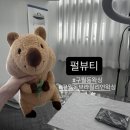 펄피부과 | 구월동 난생 첫 브라질리언왁싱 펄뷰티 솔직 후기