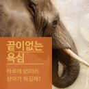 아프리카 동물의료센터 네이버블로그