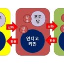 겨울방학, 과학아 놀자 이미지