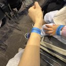 뮤지컬＜이상한나라의 앨리스＞ | [청주] 현대백화점 충청점 어린이 뮤지컬 '이상한 나라의 앨리스' 관람 꿀팁 &amp; 예약 방법