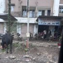 휴먼크리닝 | [인도] #6 인도 출장기 - 바피 호텔 The Deltin 후기, 바피 가는 길, 인도 출장기 총정리