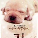 오후3시 이미지