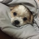 주현동물병원 이미지