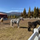 시골이야기 이미지