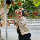 잘크라농장 이미지