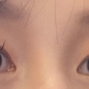 체리쉬미뷰티 네이버블로그