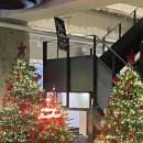 루트커피 이미지