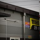 병아리라이더스 이미지