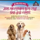 펫뉴트리션