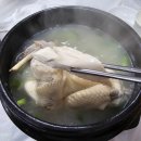 버섯마당집 이미지