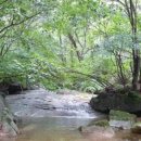 새아침펜션 이미지