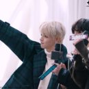 미니모아 이미지