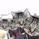 해동수산회센터 이미지