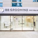 비비그루밍 이미지