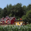 밸마운트펜션2 이미지