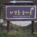 서경들 마을 이미지