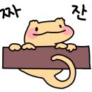 알줍 이미지