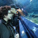 부국식당 이미지