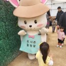 포시즌골프랜드 | 수원 아이와 가볼만한 곳 [포시즌힐링팜] 실내 체험농장