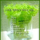 가거도 태양 이미지