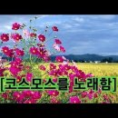 코스모스를 노래 함 (나의 친구로다.) 이미지
