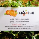 아이디플랜츠 이미지