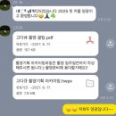 W4. 웨딩촬영_부산 야외스냅 (고다큐, 달래줄래, 플라피아, 오소)
