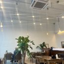 스시센코오 네이버블로그