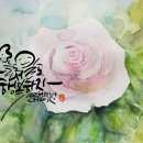 오늘도 내일도 - 고흥군 | 오늘도 내일도