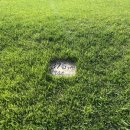 태안비치컨트리클럽 이미지