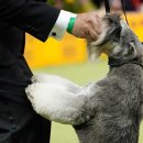 LINEUP 1989 이미지