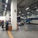 삼덕세탁소 | 대구 여행 동성로 에어비엔비 숙소부터 맛집 식도락 여행기