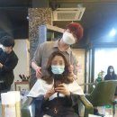 [영등포역 미용실] 신데렐라 클리닉 후기 / 박준뷰티랩 영등포역점 / 민수 디자이너쌤