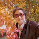 명품드림 이미지