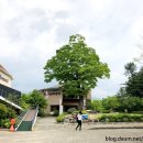 박경리 문학의집 이미지