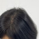 루시드닷(LUCIDDOT) 네이버블로그