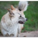 산들공원 이미지