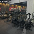 크로스핏엘리펀트 이미지