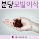 분당모발이식 주변 모발과도 자연스레 어울리는 이미지