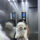 일층상회 이미지