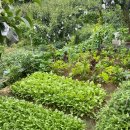 봉화산농장 이미지