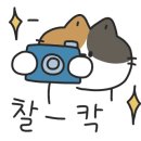 광주백운초등학교 이미지