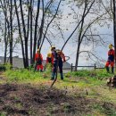 산림기능사 국가기술자격증 이미지