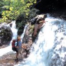 탁장사마을 이미지